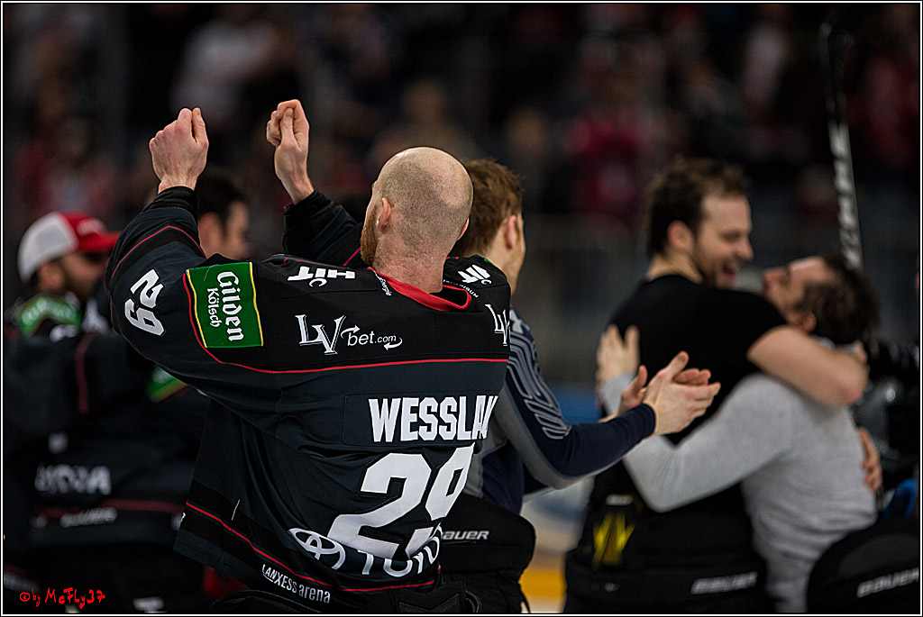 DEL, Koelner Haie - Augsburger Panther, 13.01.2017